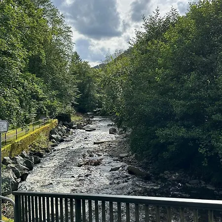 Ferienbutzen Harz Heikenberg, Mit Schwimmbad Und Sauna