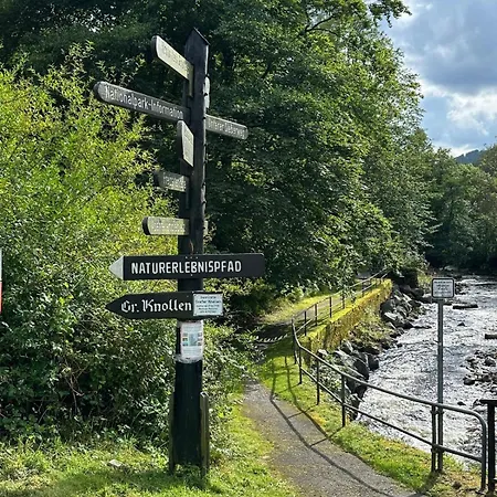 公寓 Ferienbutzen Harz Heikenberg, Mit Schwimmbad Und Sauna 巴特劳特堡