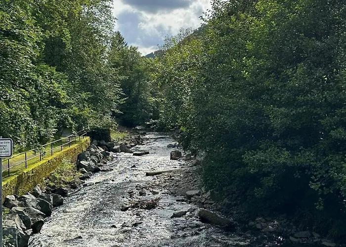 Ferienbutzen Harz Heikenberg, Mit Schwimmbad Und Sauna